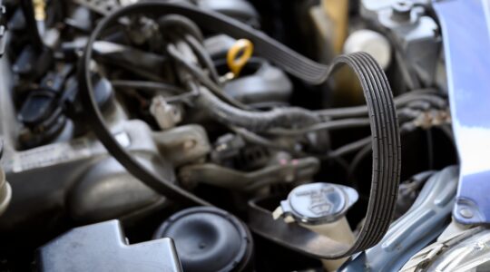 courroie de distribution